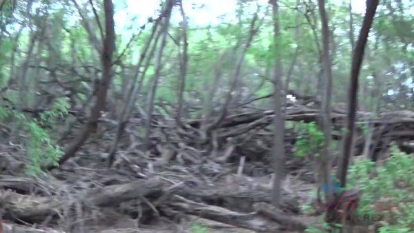 Virtual Vacation Hawaii With Megan Sage 9/9 - hotmovs.com - Usa on poweredporn.com