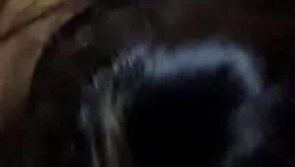 My Best Friend's Wife and I Had a Three-Way, with My Juangorilla Cock Leaving a Cum-Filled Surprise - xxxfiles.com - Mexico on poweredporn.com