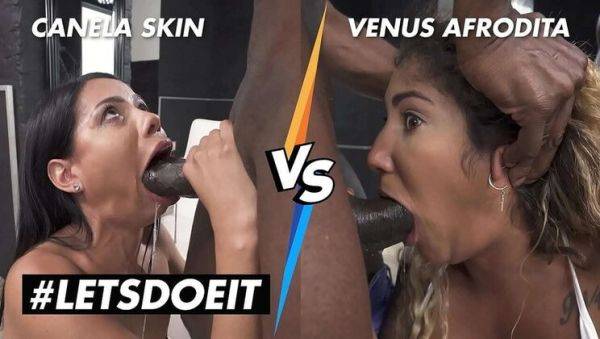 Canela Skin vs Venus Afrodita: Latina Anal Showdown with BBC and Big Tits - veryfreeporn.com on poweredporn.com