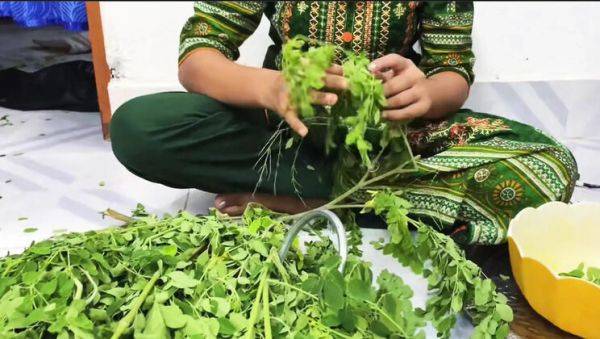 Desi Bhabhi Riya Chowdhury Romantic Hardcore Fuck with Kaleonjoybd - Blowjob, Cowgirl, Doggy Style in HD - veryfreeporn.com - India - Japan on poweredporn.com