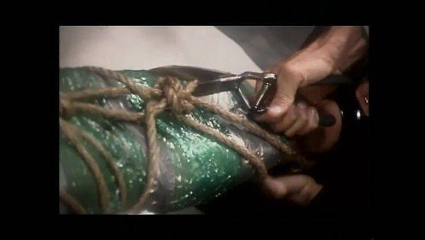 Evan Stone and Kylie Ireland in Vintage Art of Blowjob and Anal HD Video - veryfreeporn.com - Ireland on poweredporn.com