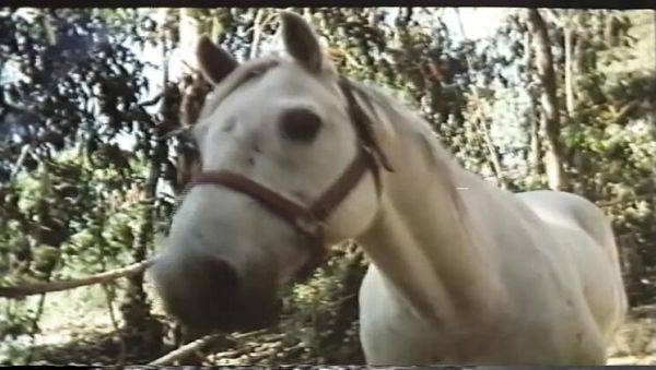 Desiree Cousteau Golden Age MILF Big Tits Hardcore Cumshot Orgasm HD - porntry.com - Britain on poweredporn.com