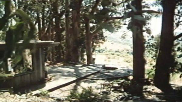 Annette Haven Golden Age MILF Hardcore with Cumshot and Big Tits - porntry.com - Britain on poweredporn.com