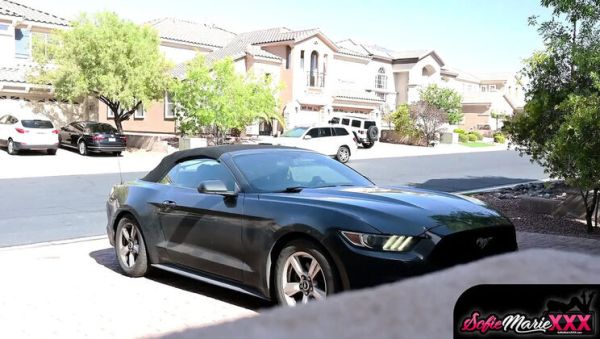 Sofie Marie Cheating Wife Teased and Takes BBC from Solo The Bull - xxxfiles.com - Britain on poweredporn.com