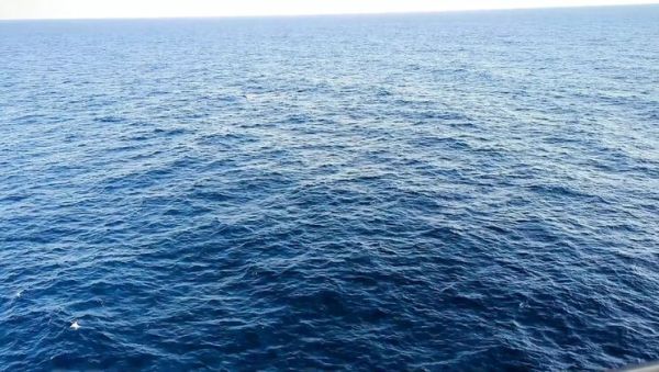 Amateur Hot Wife Solo Masturbation Orgasm on Cruise Ship - Cuckold Husband Locked in Chastity Cage Watches - xxxfiles.com - Usa on poweredporn.com