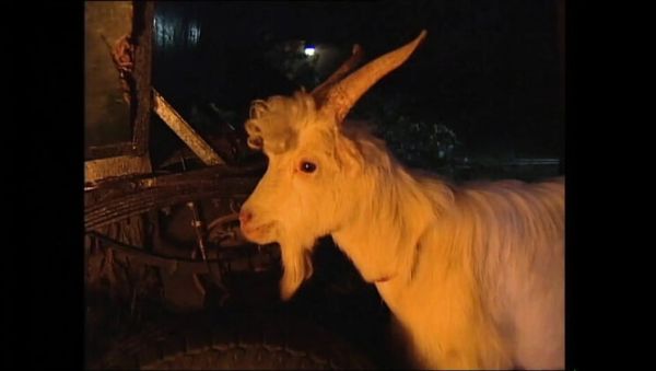 Naked Woman On Fire Vol.4 Full Movie - Claudia Jamsson, Karli Sweet, Backey Jakic Anal, Big Tits, Blowjob, HD Vintage - xxxfiles.com on poweredporn.com