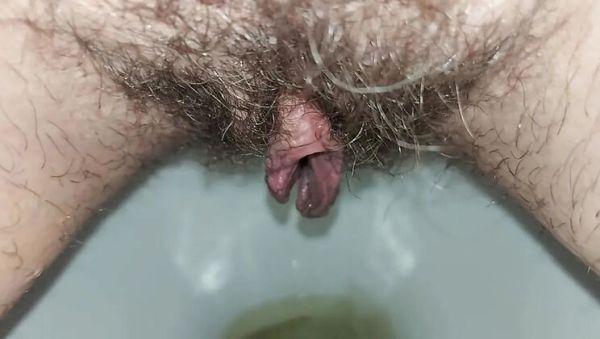 Hairy Housewife GinnaGg Pissing Close Up Toilet Pee Play - veryfreeporn.com - Russia on poweredporn.com