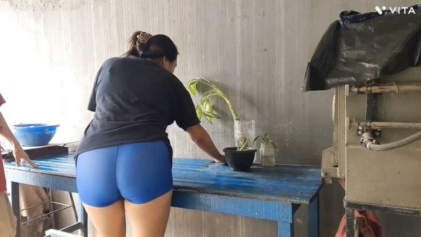 Homemade Latina Maid Blowjob and Creampie - Cheating Housewife Fuck in POV - xxxfiles.com - Spain - Bolivia on poweredporn.com