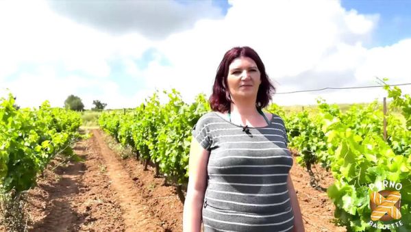 Leila the Hot Brunette MILF Gets Banged Hard in a Steamy Threesome Casting - veryfreeporn.com on poweredporn.com