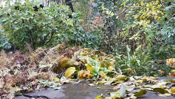 Mature Ukrainian MILF Pissing Doggystyle Outdoor - Hot Amateur Public Pee - porntry.com - Ukraine on poweredporn.com