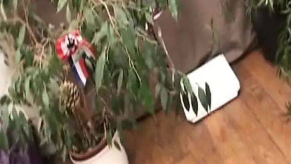 Sexy French MILF Love Crystale Gets Hardcore Anal Fuck by Young Stud - xxxfiles.com - France on poweredporn.com