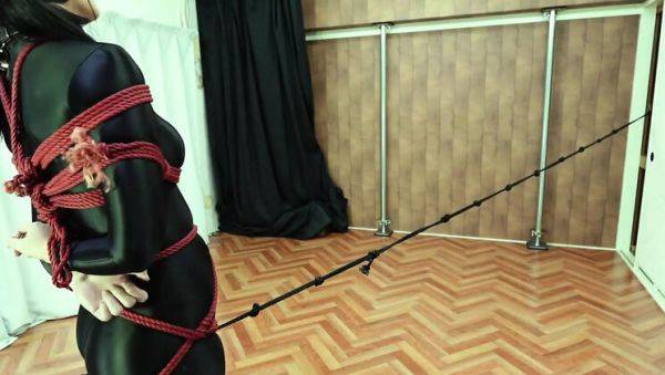 Japanese MILF in Twin Tails Tied Up & Dominated - Rough BDSM Shibari Fuck - xxxfiles.com - Japan on poweredporn.com