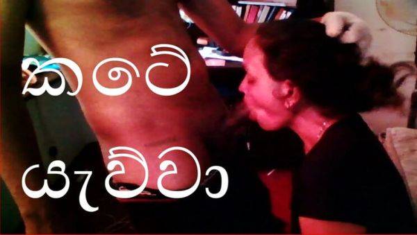 Hot Sri Lankan Stepsis Tina Baby Gets Her Protein Shake Before Class - Anal & BBC Action - porntry.com - Sri Lanka on poweredporn.com