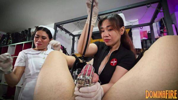 Asian Domina Deep Sounds Sissy Slave in Chastity - Extreme CBT & Urethral Play - veryfreeporn.com on poweredporn.com