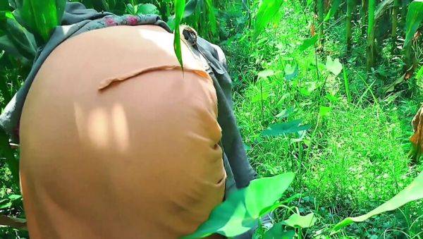 Deshi Bhabhi Fucked Hard in Cornfield - First Time Anal & Doggy Style - porntry.com - India on poweredporn.com