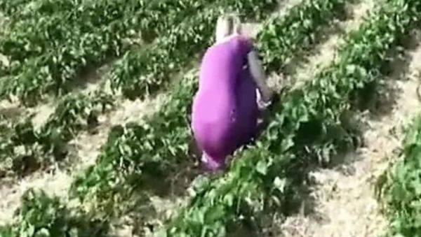 Blonde German Babe Sucks Cock After Strawberry Picking - Outdoor POV Fuck - xxxfiles.com - Germany on poweredporn.com