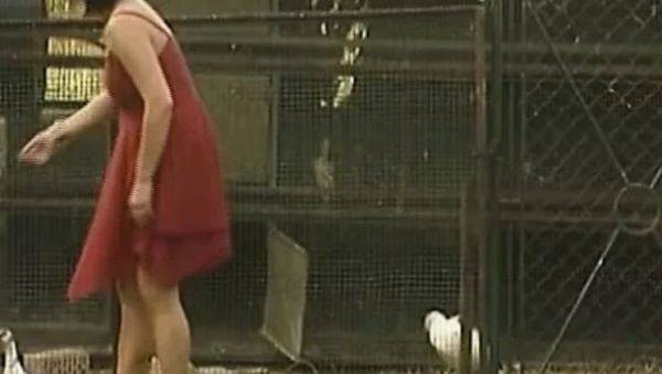 Hot German babes in wild foursome - anal, blowjob & hardcore action - xxxfiles.com - Germany on poweredporn.com