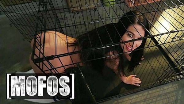 Petite Tattooed Babe Alex Coal Deep Throats JMac's Cock - Mofos Birthday Present - xxxfiles.com on poweredporn.com