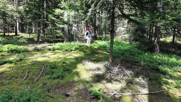 Wild French lesbians make out & eat pussy in the forest - Alt girls outdoor sex - porntry.com - France on poweredporn.com