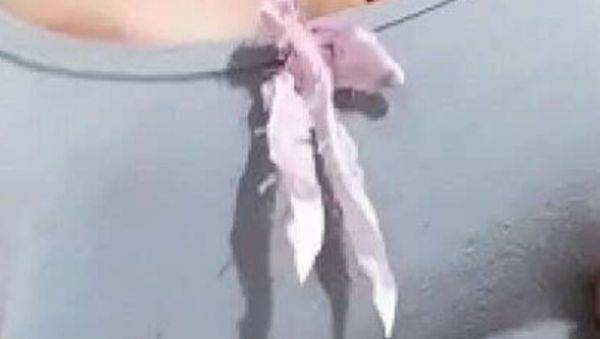 Kaith Saumeth Latina Solo - Huge Hairy Pussy Creams Thick Milk - xxxfiles.com on poweredporn.com