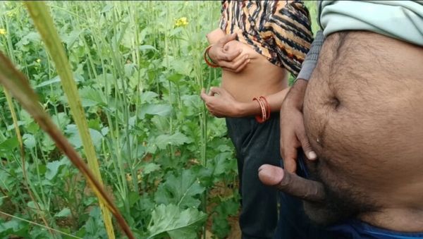 Desi Village Girl Fucked Hard in Mustard Field - Abiraj Big Cock Cumshot on Tits - porntry.com - India on poweredporn.com