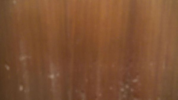 Souzan Halabi First Time Blowjob in Kitchen - Amateur Arab Teen Hijab Girl Dirty Talk Close Up 4K - xxxfiles.com - Britain - Turkey on poweredporn.com