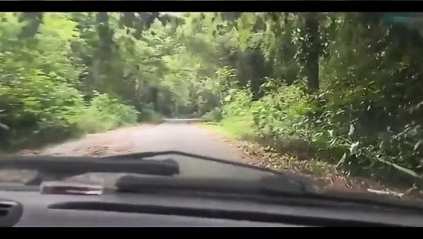 Bruxo Fire Bangs Latina in Forest Milk Bath - Outdoor Doggy Style & Blowjob - xxxfiles.com on poweredporn.com