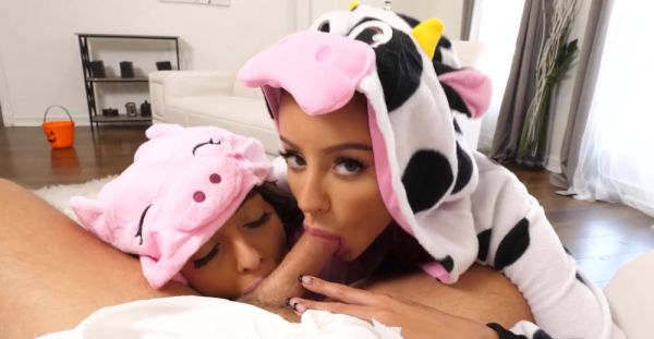 Asian temptresses tease with sloppy blowjobs and raunchy handjobs - alphaporno.com on poweredporn.com