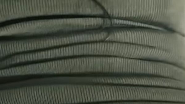 Roxy Martinez My Wife On All Fours Wants Another Cock - Latina Perfect Ass Curvy Body - veryfreeporn.com on poweredporn.com