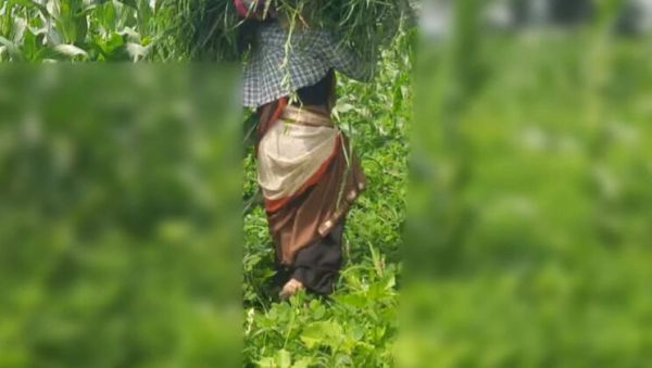 Desi Bhabhi Outdoor Fuck with Devar in Jungle - Sukunmi & Dewaif Public Sex - veryfreeporn.com - India on poweredporn.com