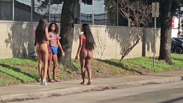 Petite Babe Rose Gives Blowjob & Doggystyle - Tight Pussy, Big Booty Riding - porntry.com on poweredporn.com