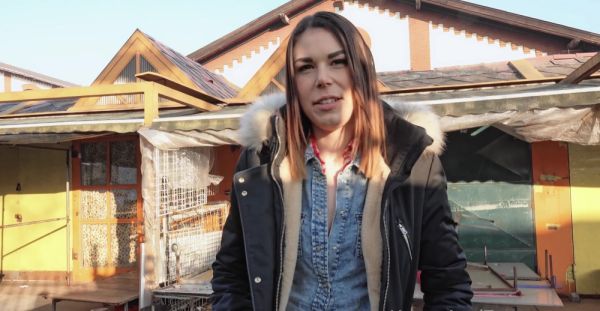 Czech casting girl Jessica Bell gets her trimmed pussy railed - alphaporno.com - Czech Republic on poweredporn.com