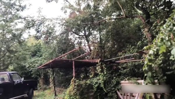 My Wife Luna Horny Outdoor Fuck with Gardener - Amateur Italian Couple Real Sex - veryfreeporn.com - Italy on poweredporn.com