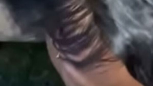 POV Blowjob with Keisha Minaj - Public Deep Throat on a Huge 11 Inch BBC - xxxfiles.com on poweredporn.com