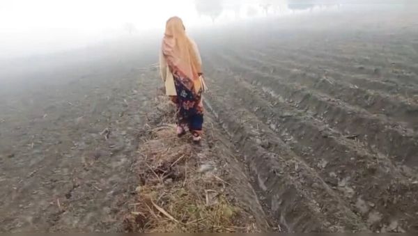 Desi Bhabhi Fucked Hard in Sugarcane Field – Hot Indian Village Sex - xxxfiles.com - India on poweredporn.com