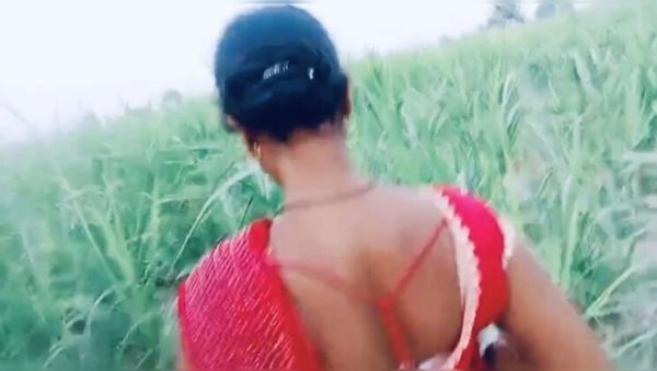 Hot Bhabhi Fucked in Village Field in Doggy Style - veryfreeporn.com - India on poweredporn.com